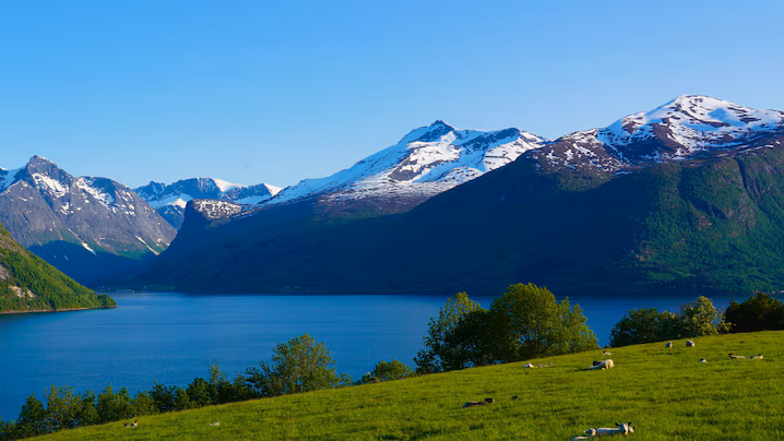 img-slider