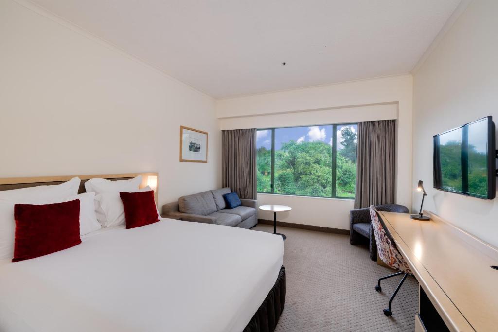 City View King Room