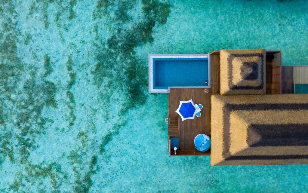 Arial View