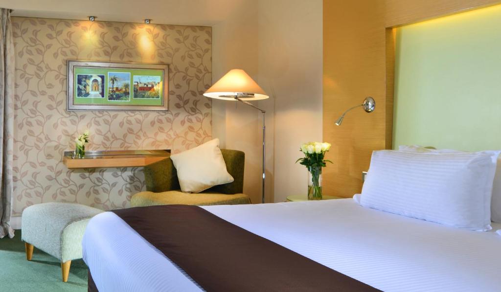 Superior King Room Partial Nile View