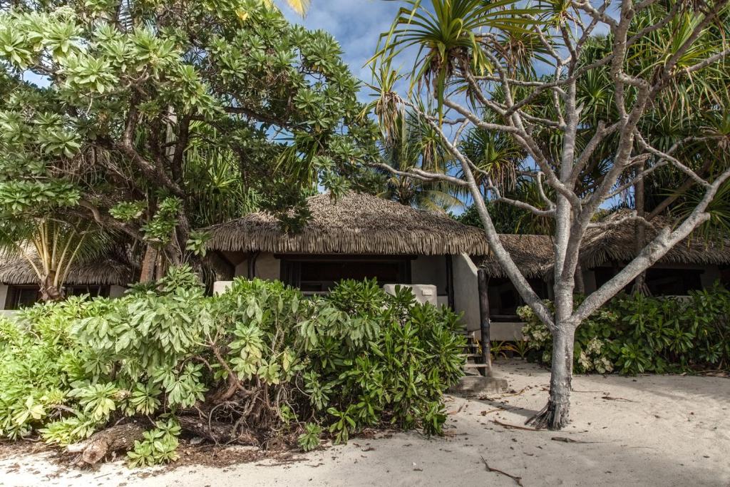 Premium Beachfront Two Bedroom Bungalow
